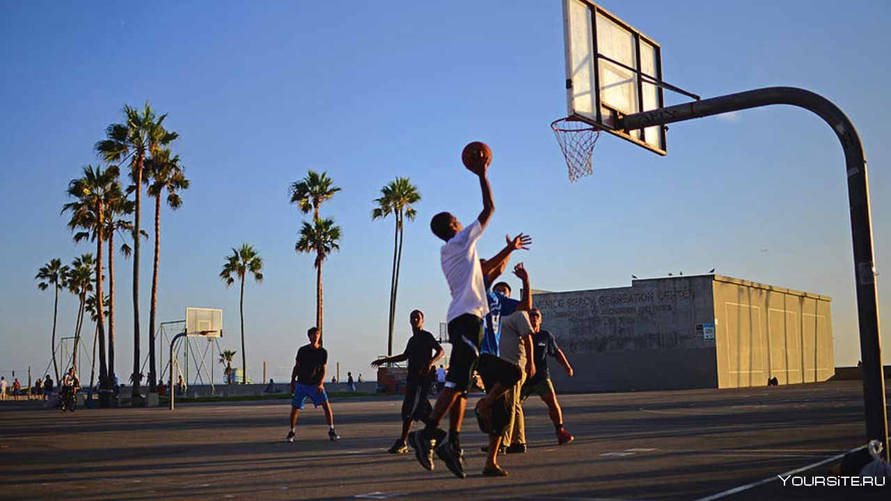 Групповуха на улице с баскетбольной командой