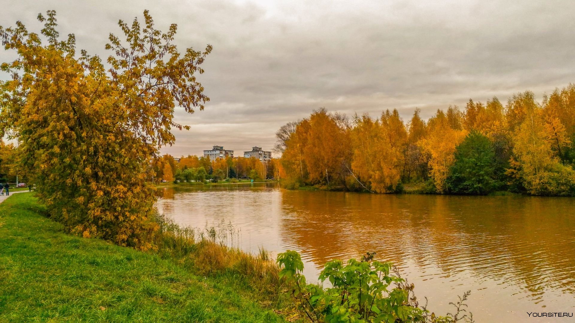 Ростовская область осень
