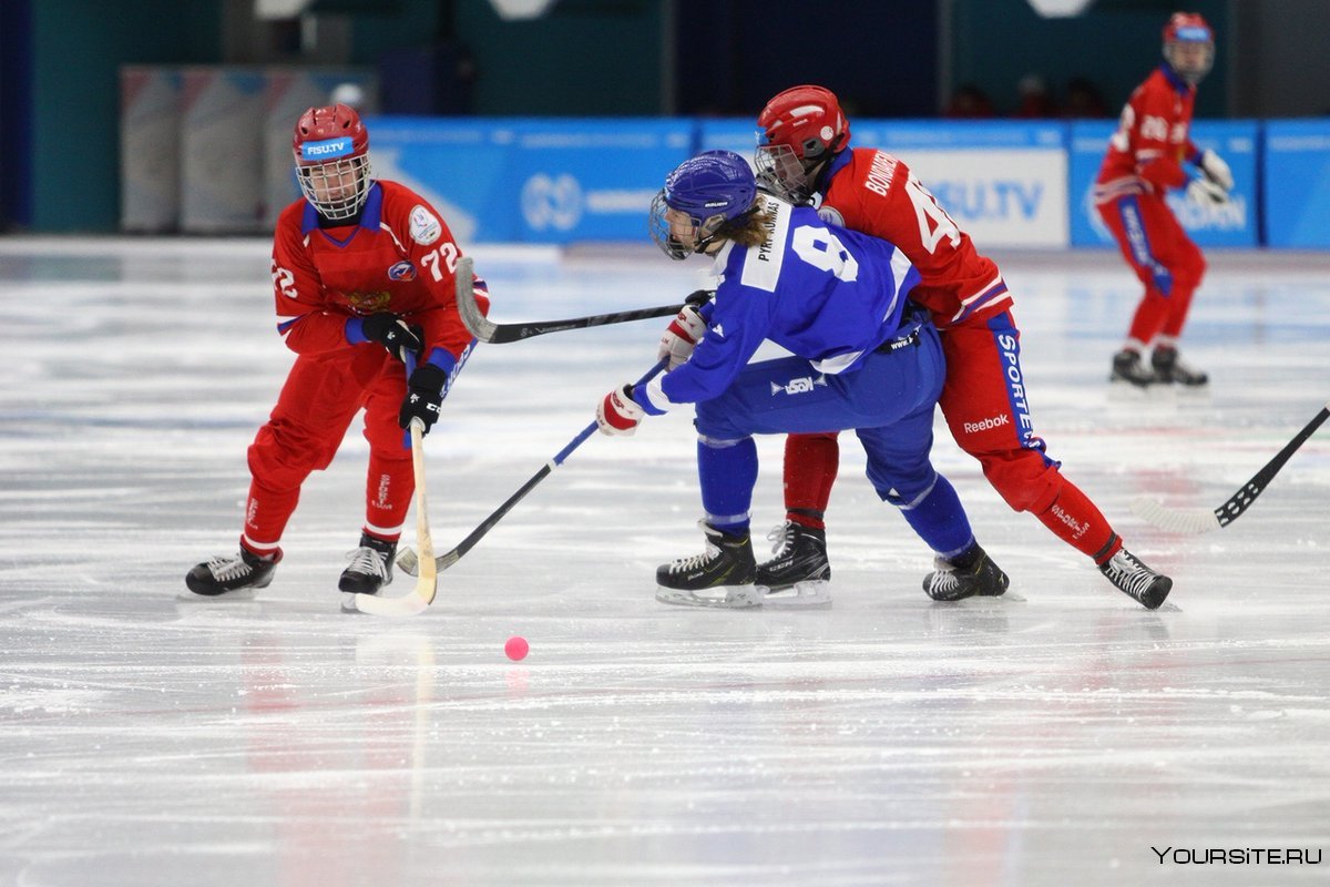 Новосибирские команды по хоккею с мячом