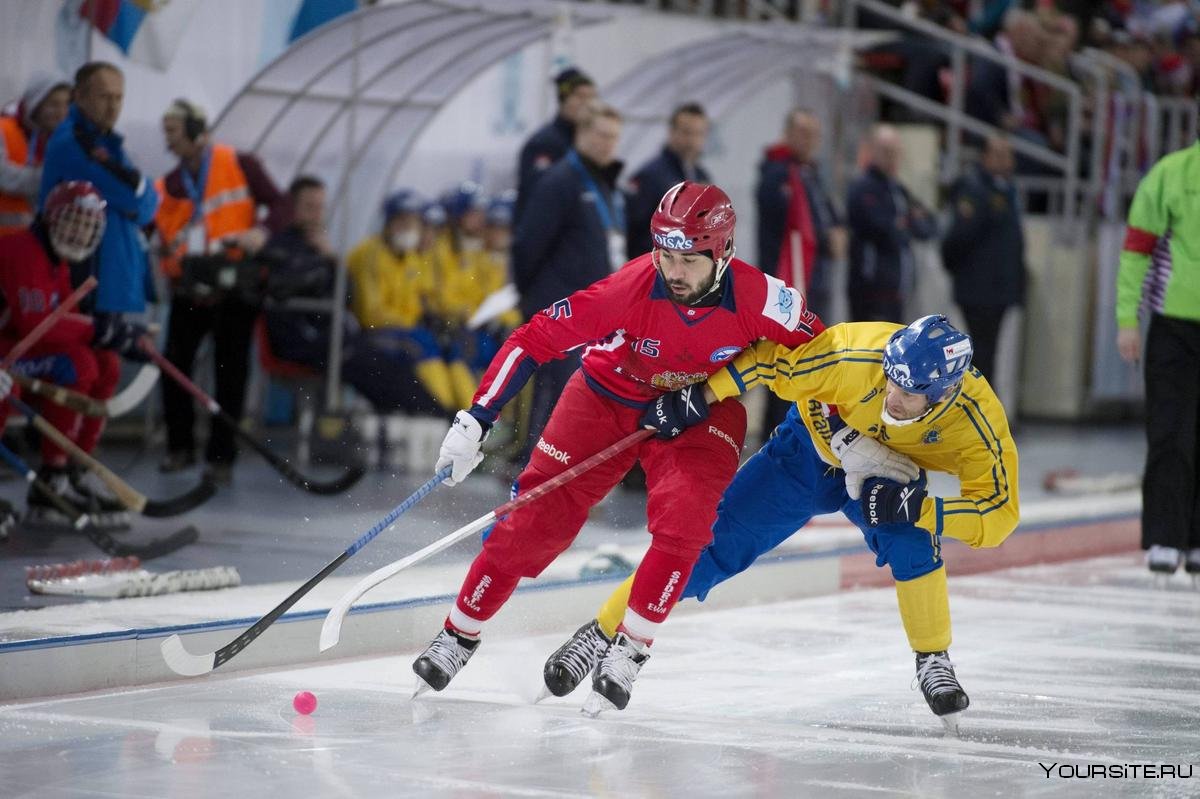 Россия Швеция турнир четырех наций хоккей с мячом