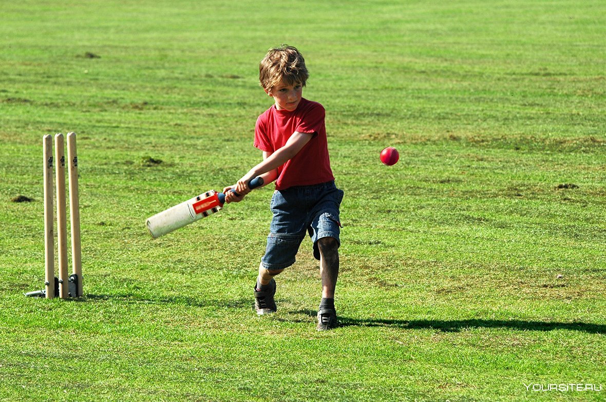 Cricket игра фото