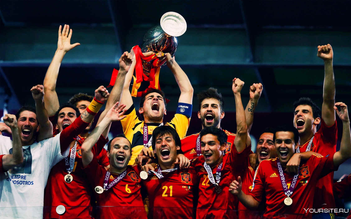 Сборная Испании чемпион мира 2008