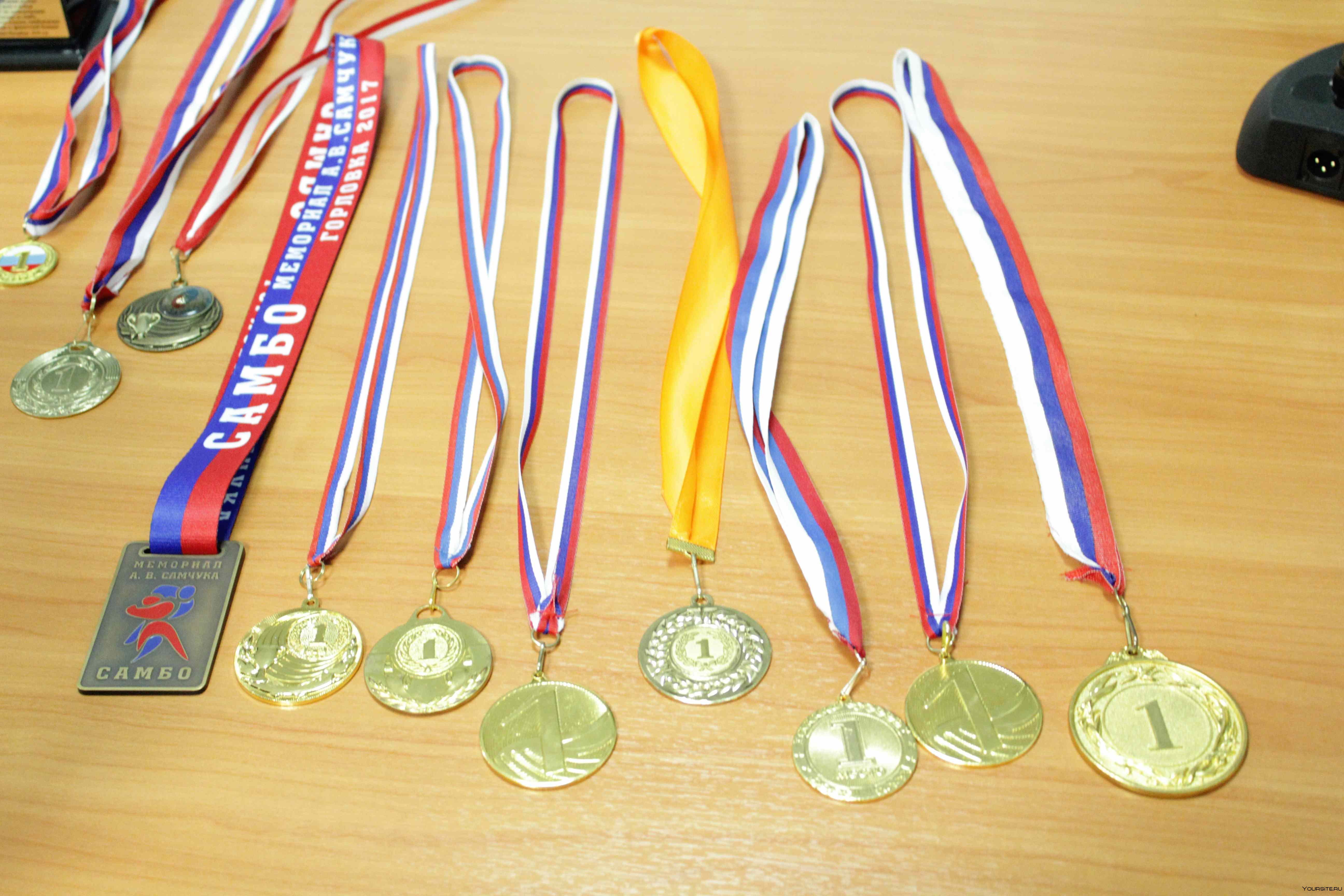 Призы спортсменам. Необычные медали спортивные. Спортивные награды. Медали по самбо. Кубки и медали по дзюдо.