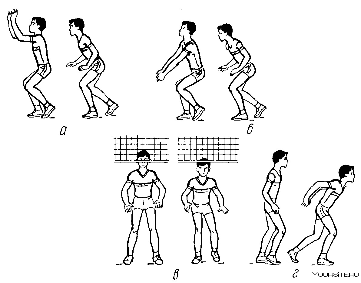 Техника стоек и перемещений в волейболе