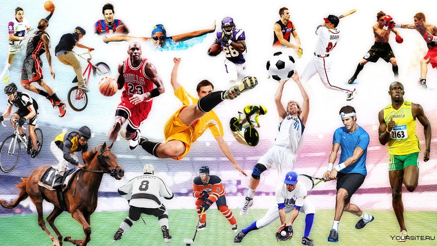 Разновидность спортивной игры