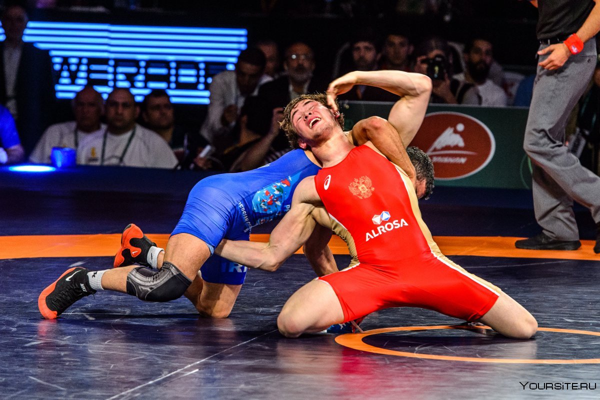 Спорт Вольная борьба