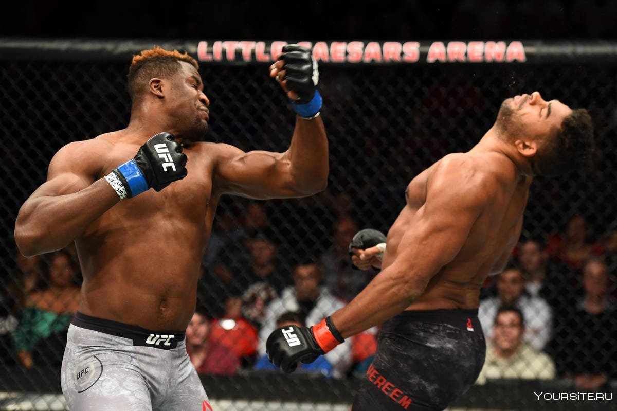 Alistair Overeem