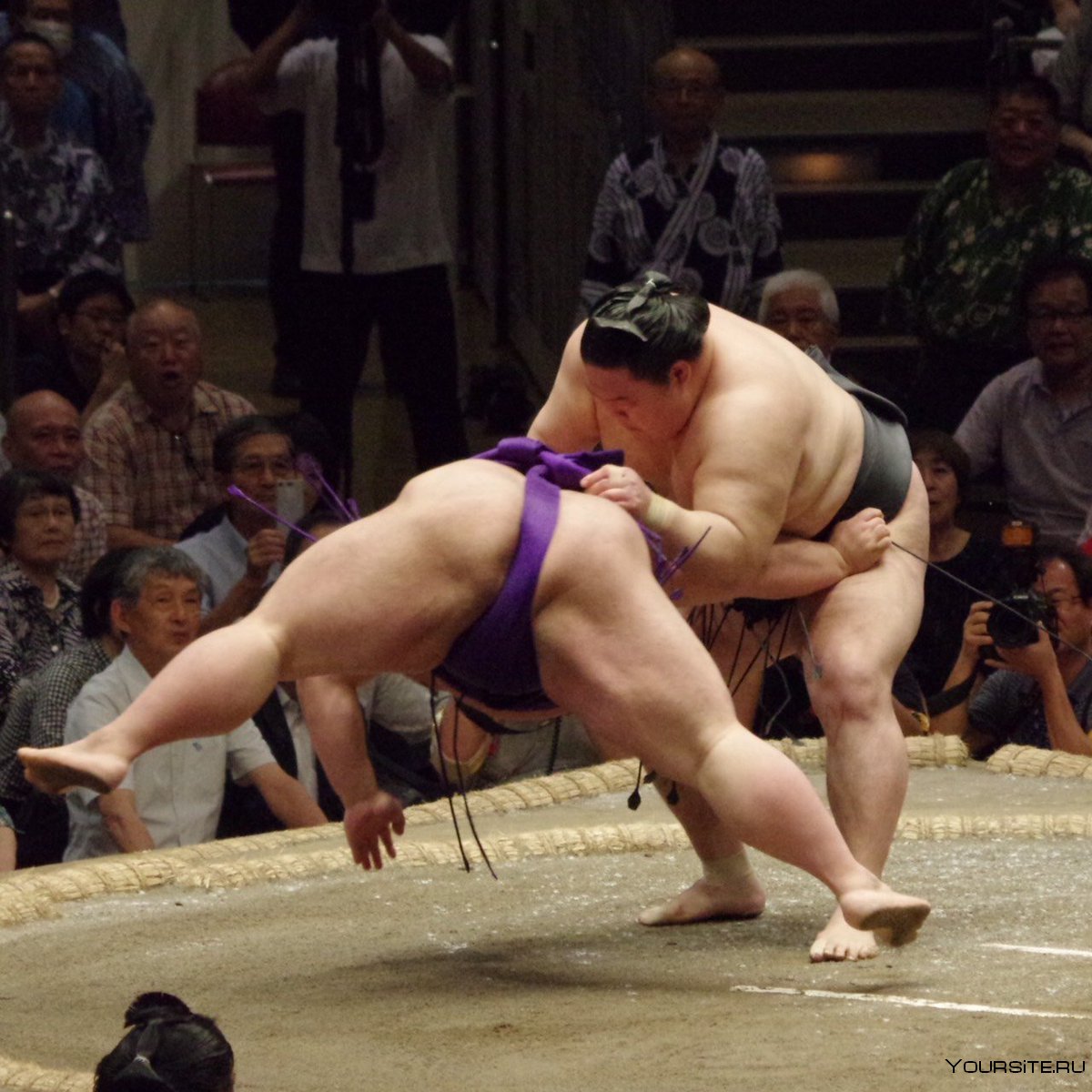 Японские борцы сумо