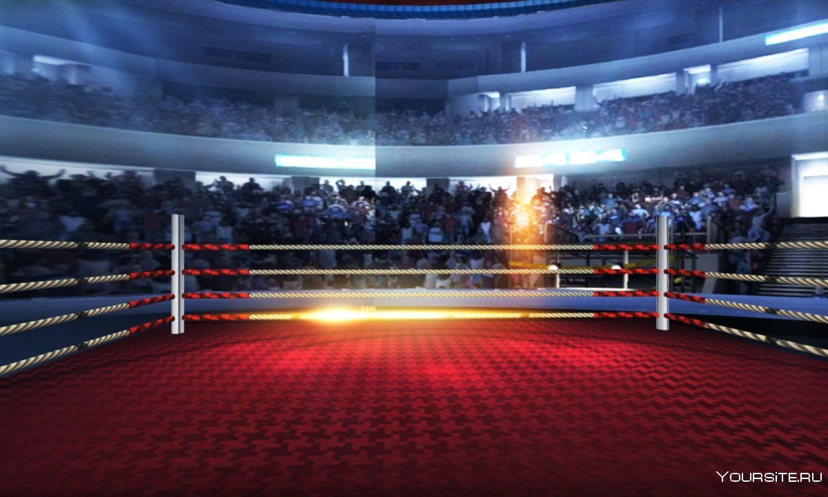 Боксерский ринг Арена
