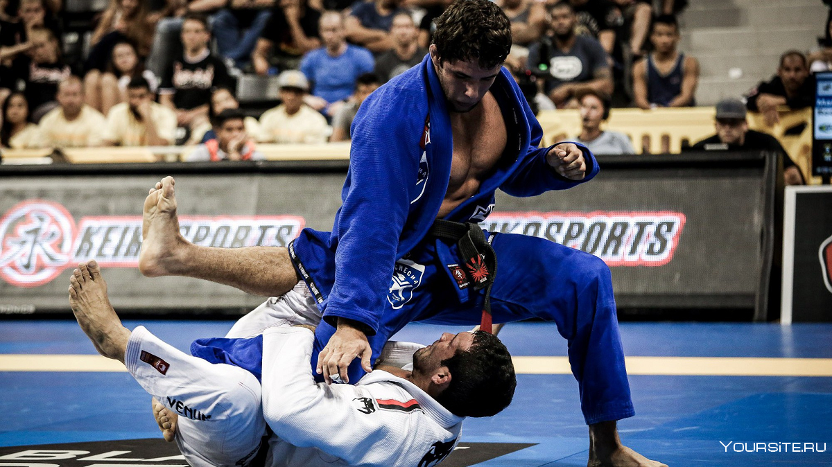 Бразильское Jiu Jitsu