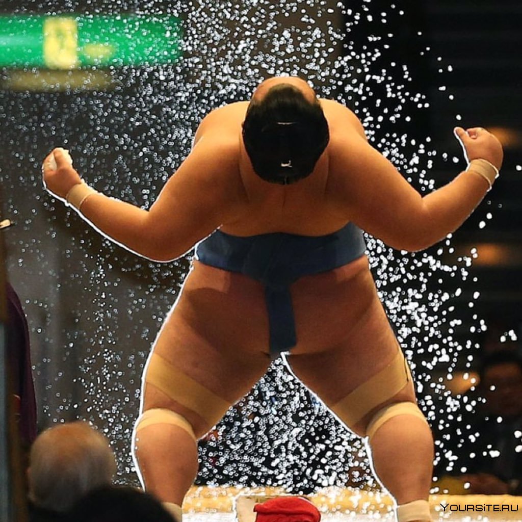 Изотова Татьяна чемпионка Европы по сумо 2013