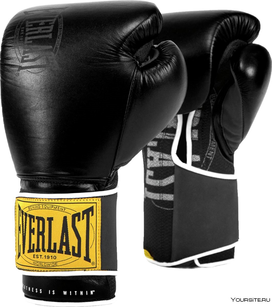 Перчатки Everlast 1910