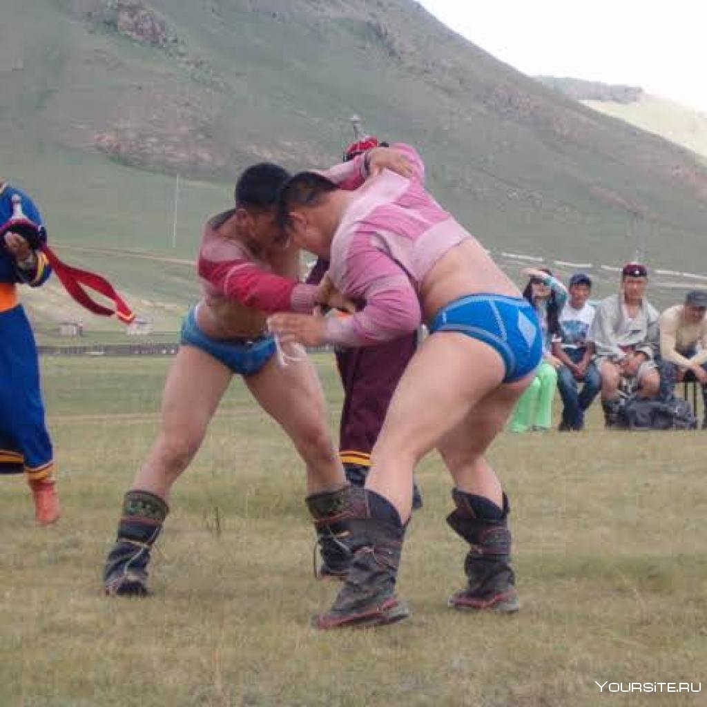 Монгольские борцы Хуреш