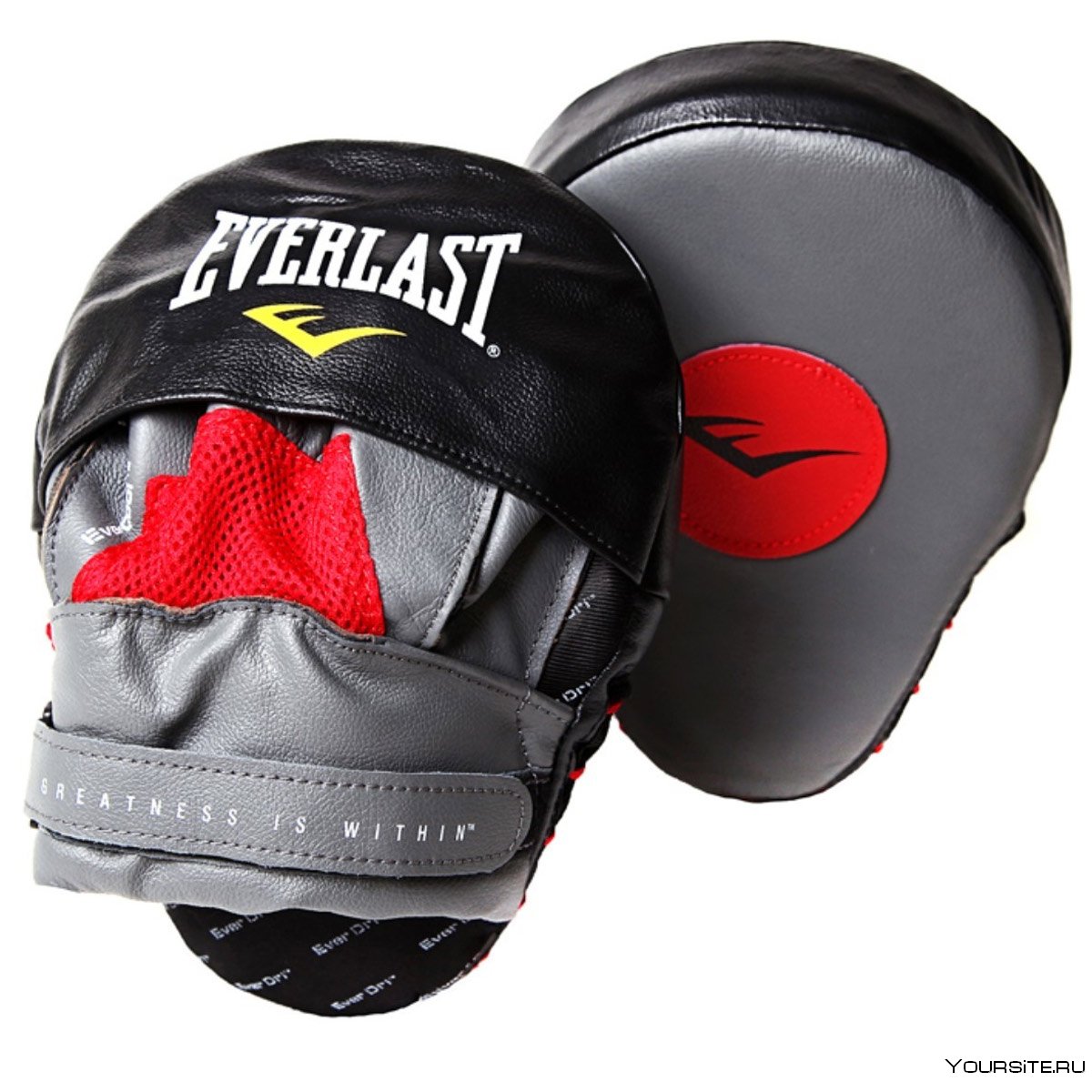 Лапы боксерские Everlast