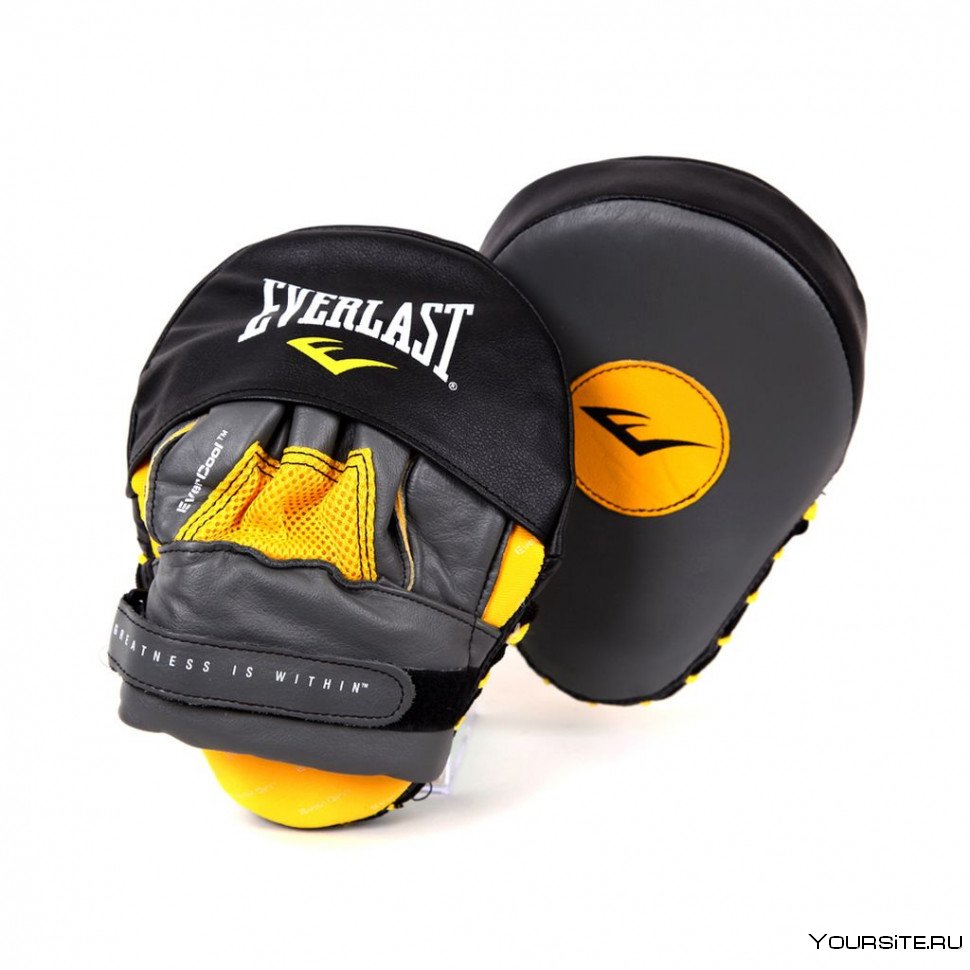 Everlast Evergel лапы