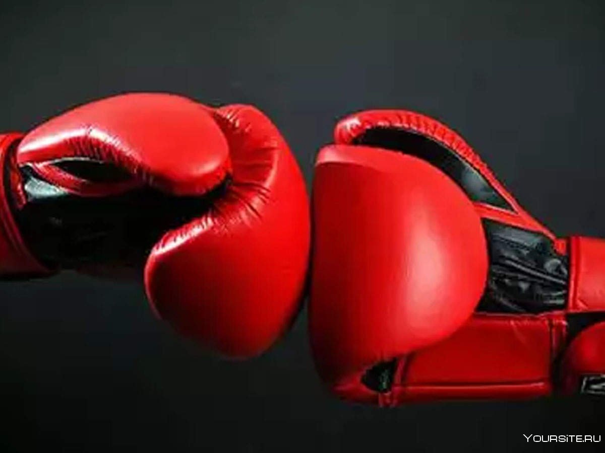 Боксерские перчатки бой