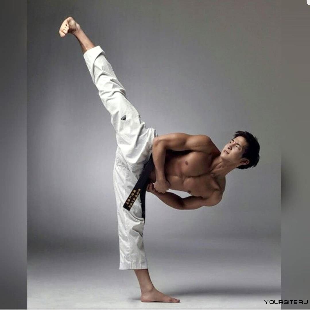Саша Дхаван Martial Art