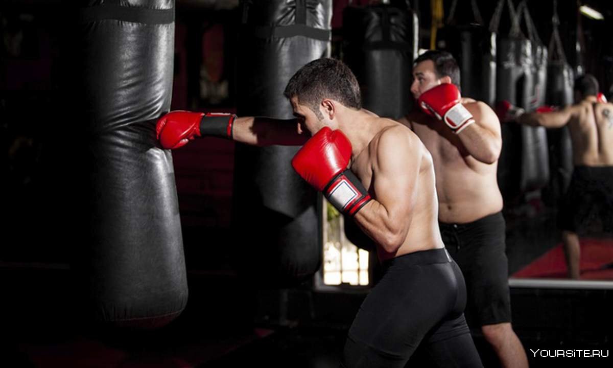 Бокс тренировка