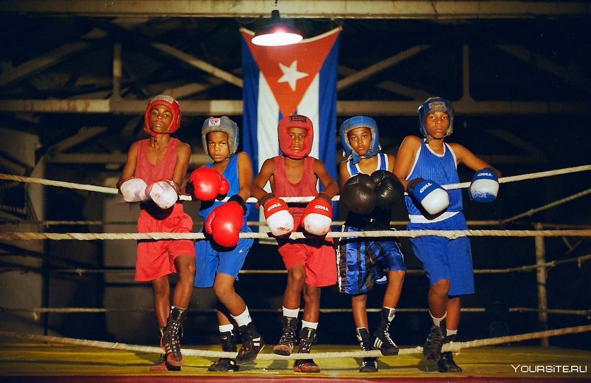 Кубинский бокс
