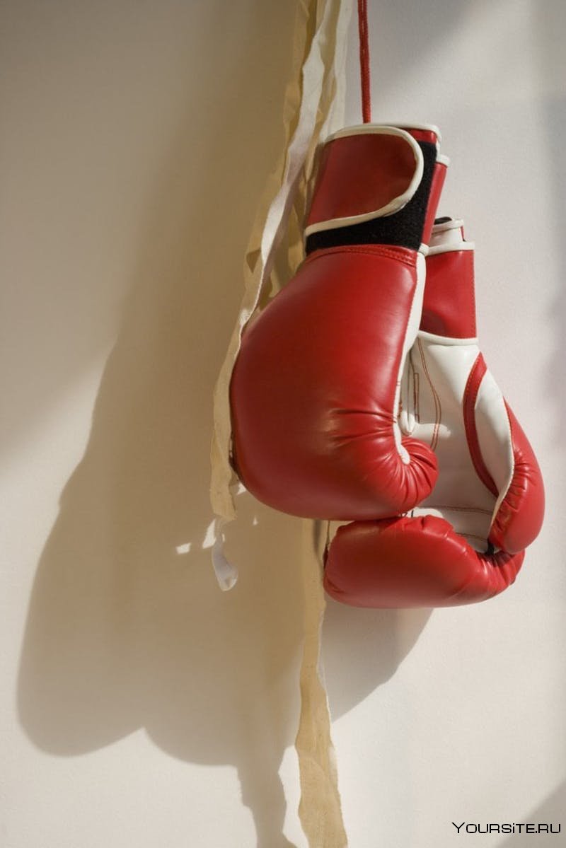 Боксерские перчатки на стене