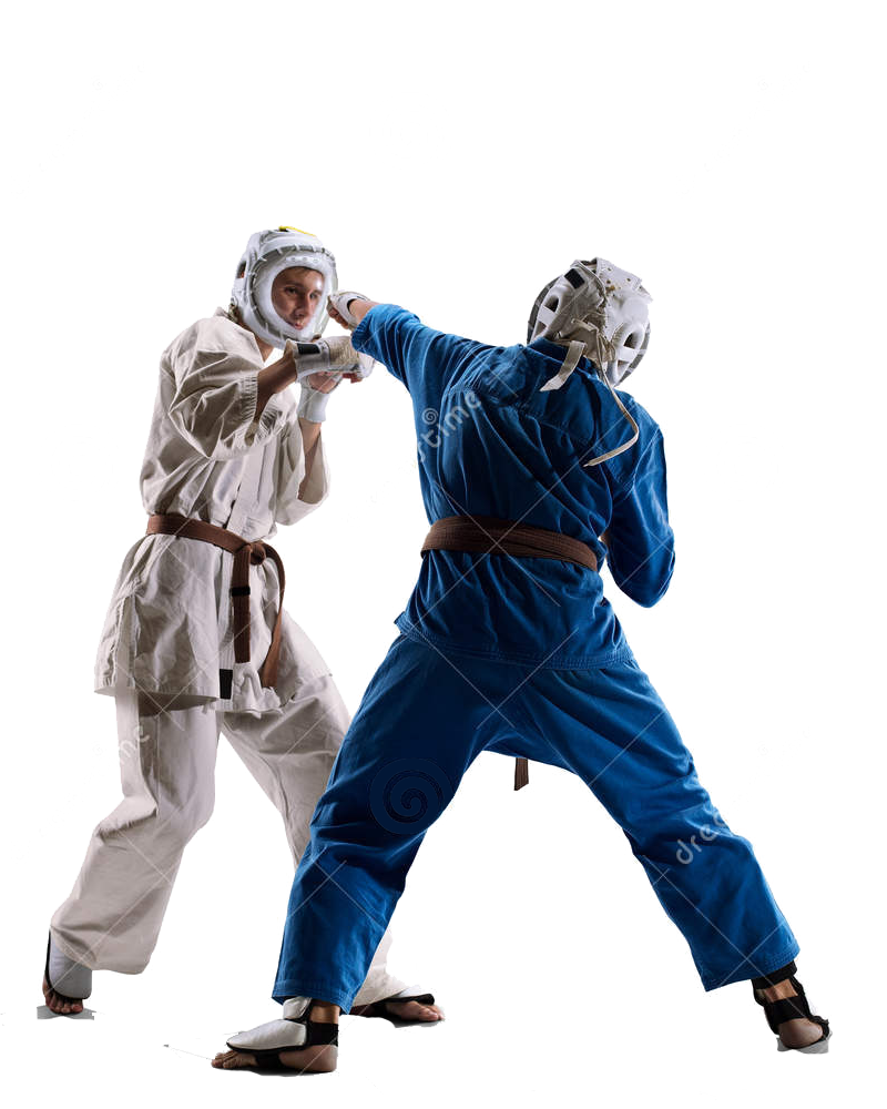 Дайдо Дзюку каратэ