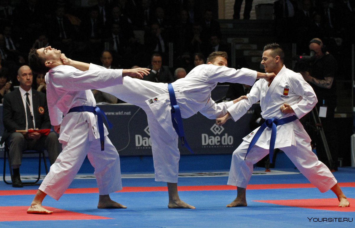 Спортивное каратэ WKF