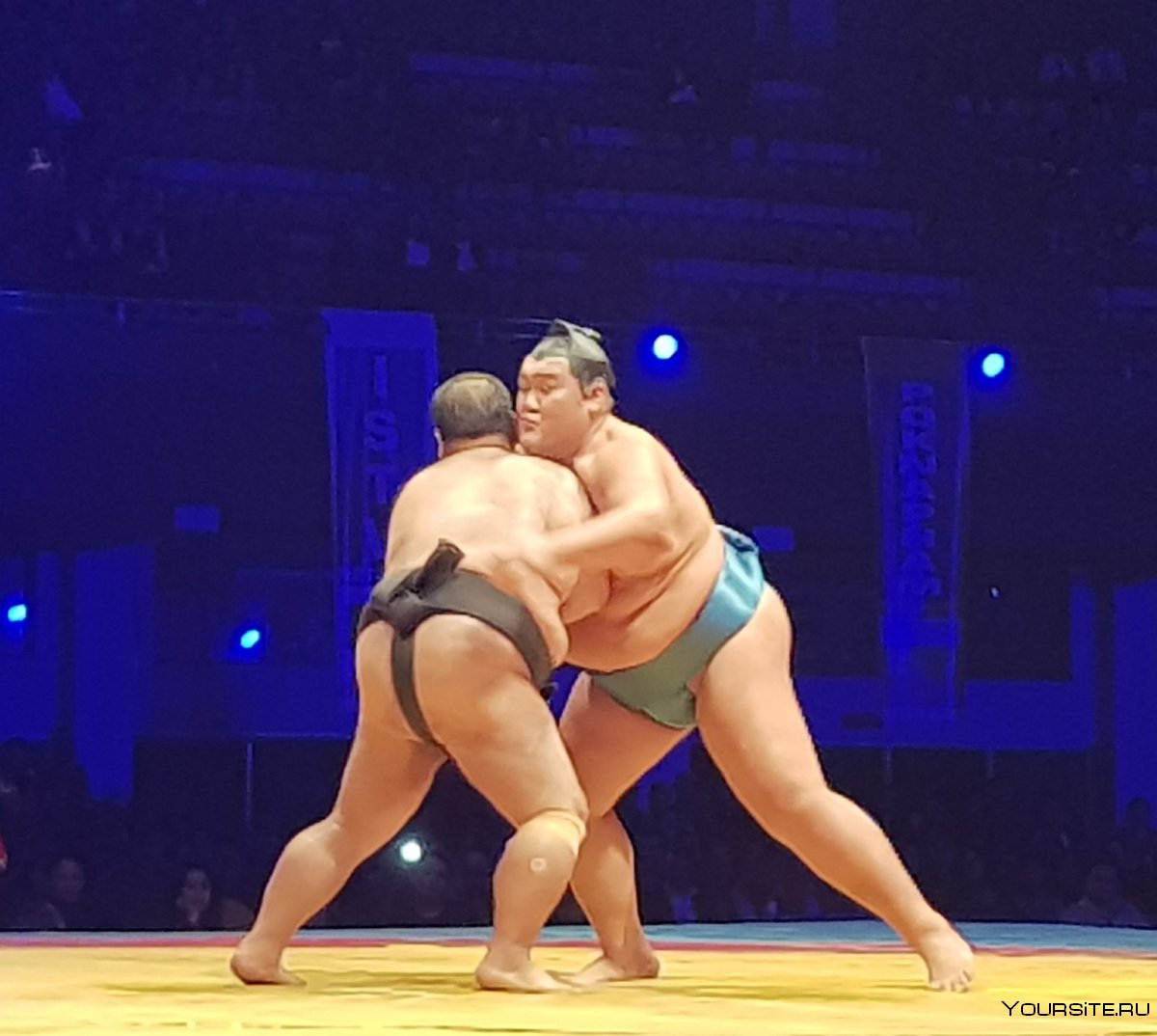 Чемпионка по сумо Крым