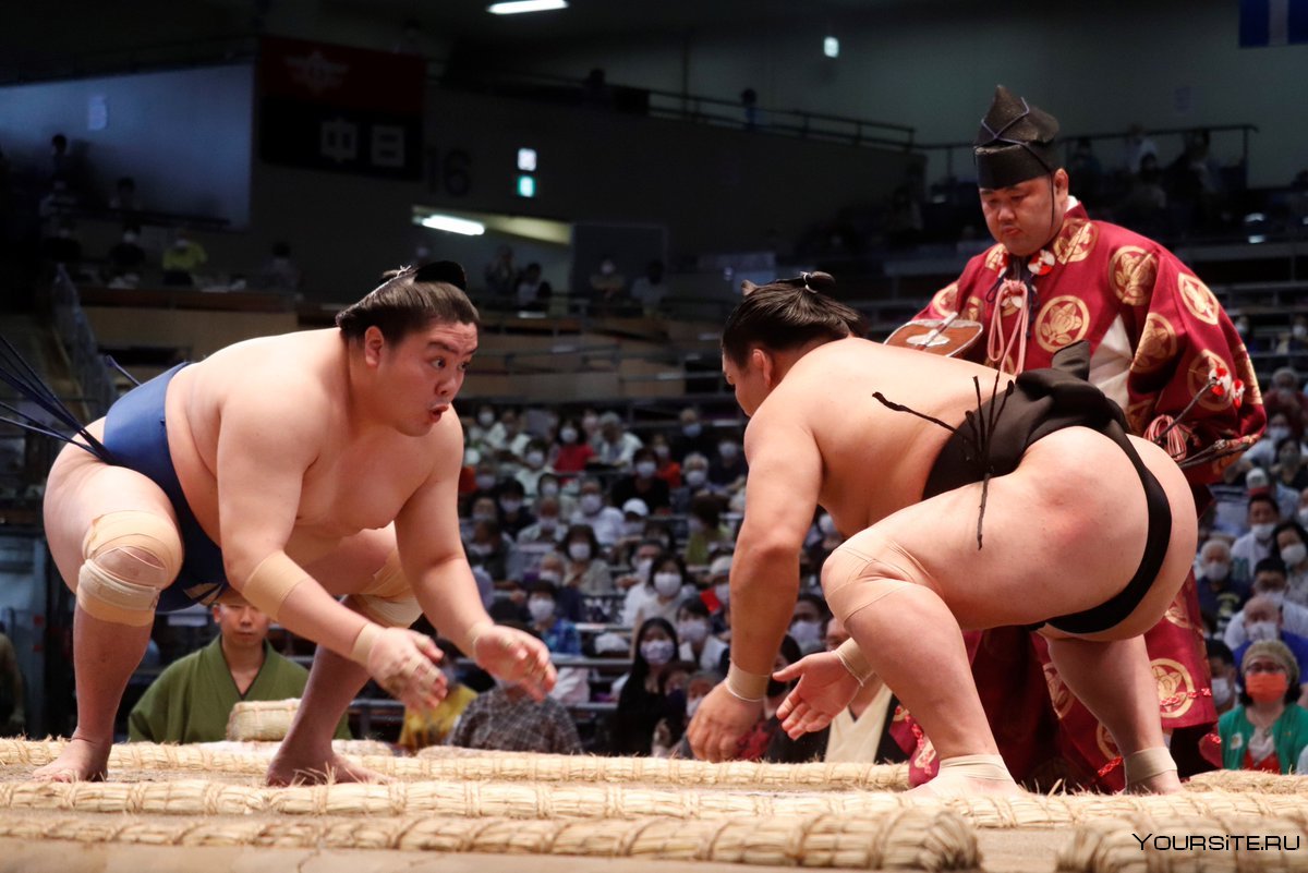 Боевые искусства Японии сумо