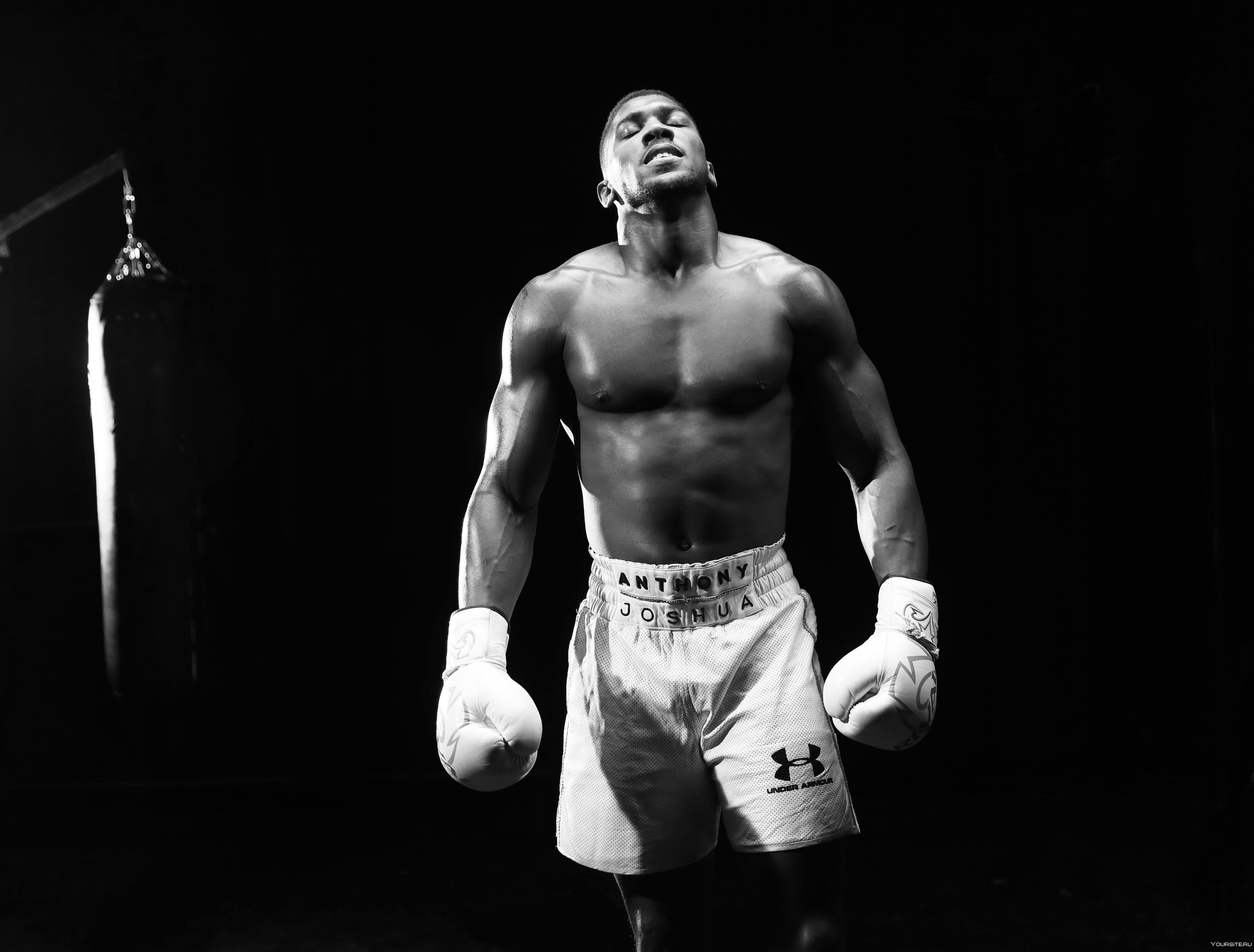 Фото черно белое боксеры