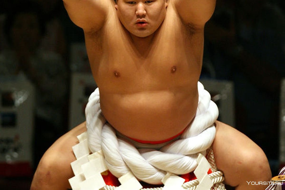 Борьба сумо древней Японии