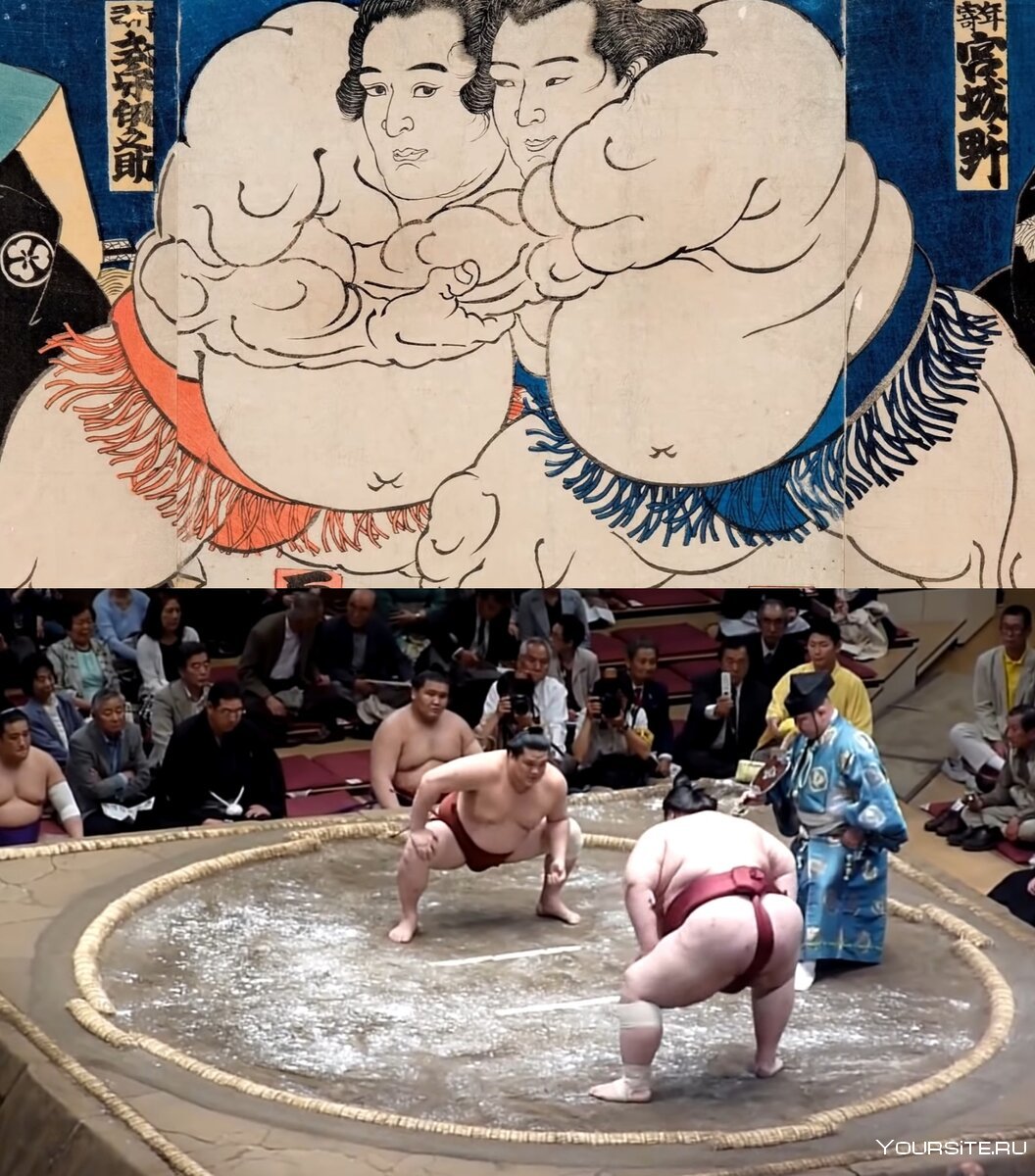 Самый большой сумоист в мире