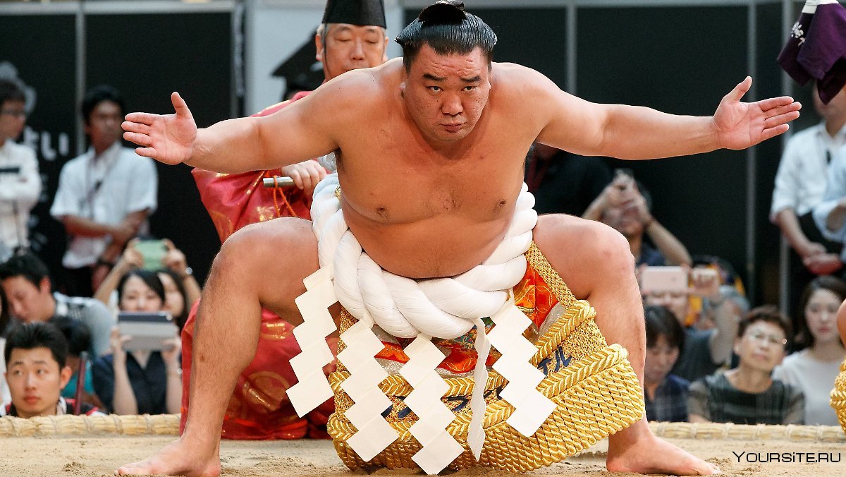 Бойцы сумо Япония женщины