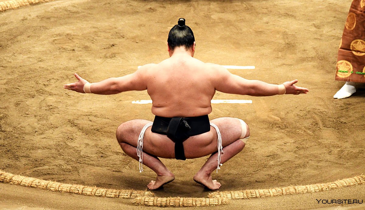 Спортсмены сумо