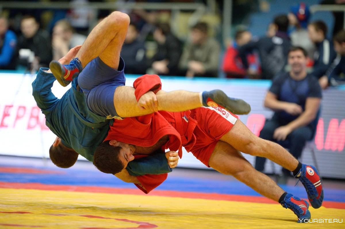 Самбо Оренбург Чемпионат