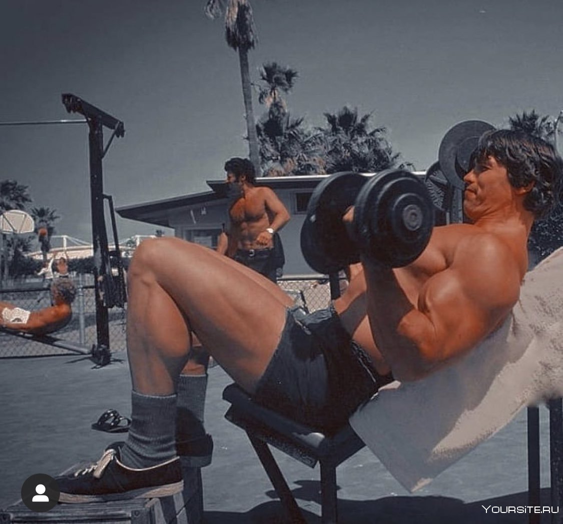 Пресс Шварценеггера