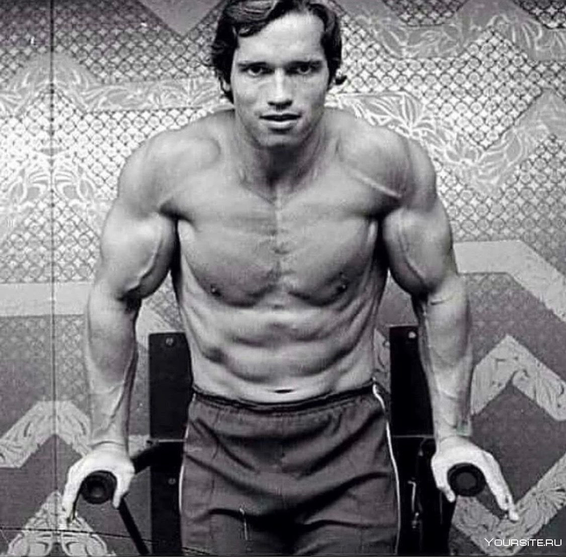 Arnold Schwarzenegger young