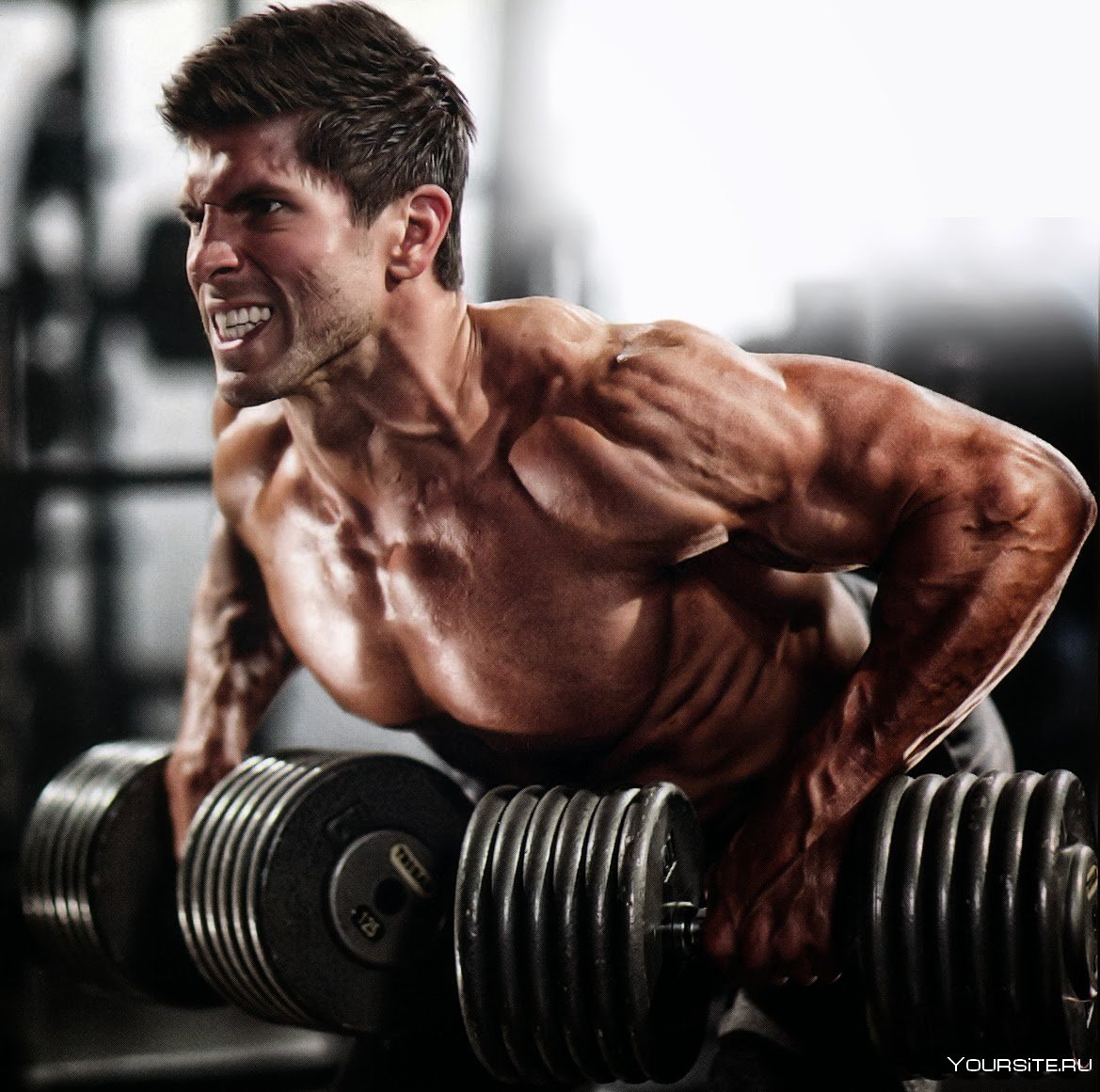 Грег Плитт силовые показатели