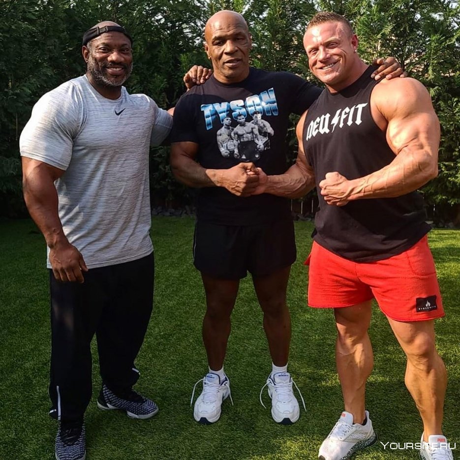 Периодизация тренировок в бодибилдинге