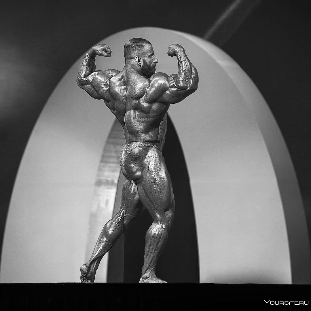 Соревнования по бодибилдингу Мистер Олимпия