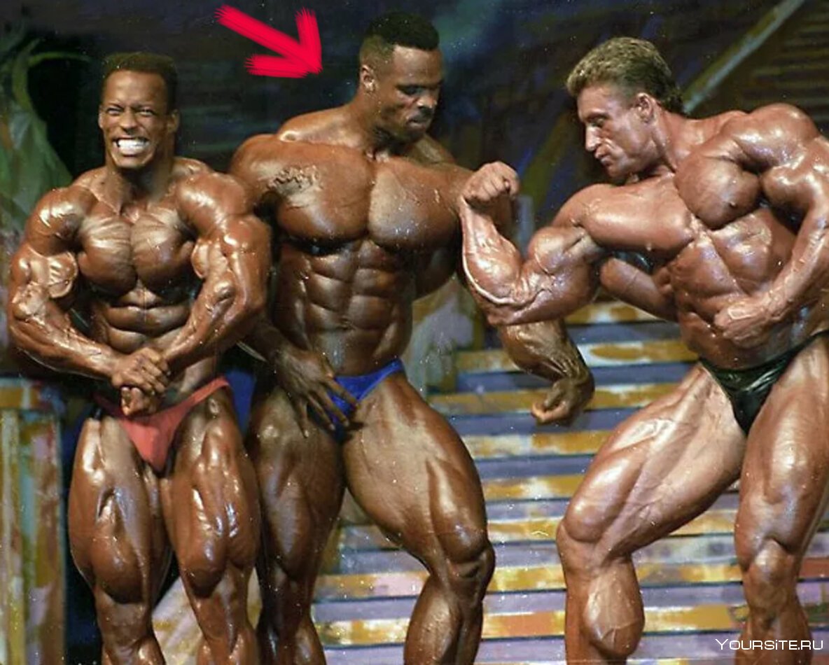 Чемпионы Мистер Олимпия