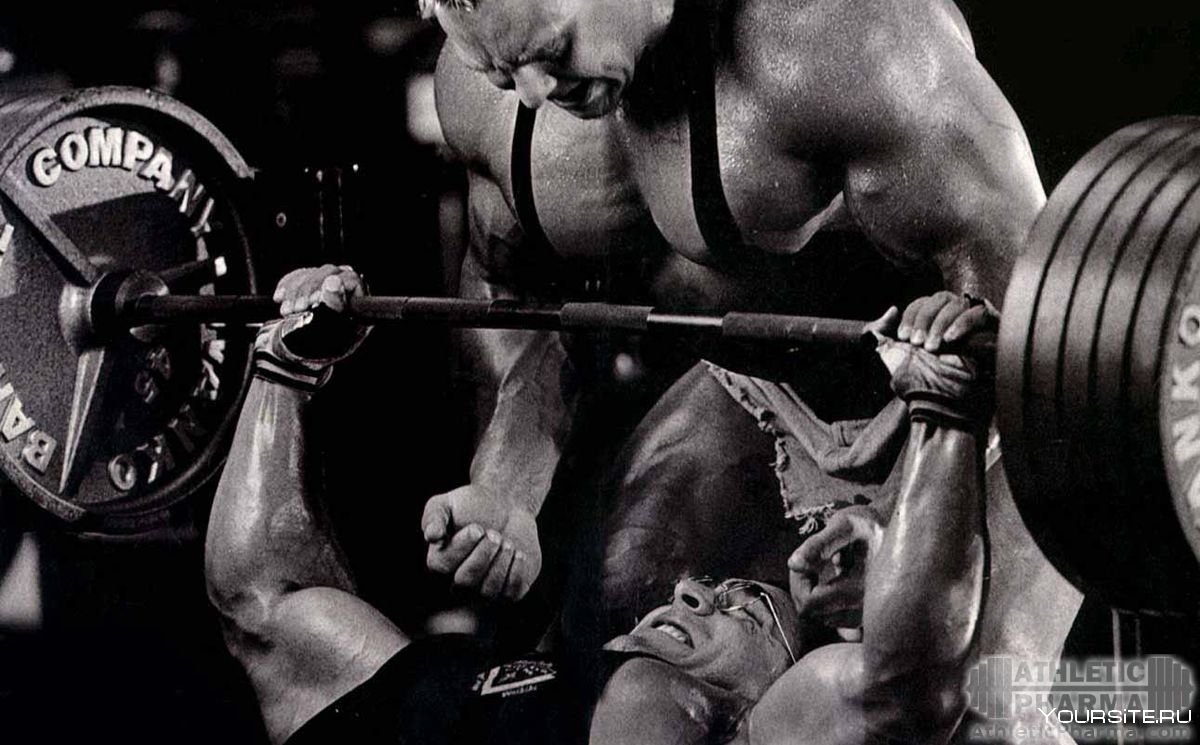 Претенденты Мистер Олимпия 1995