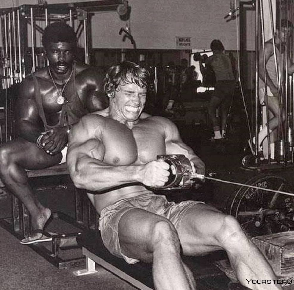 Арнольд Шварценеггер 1983