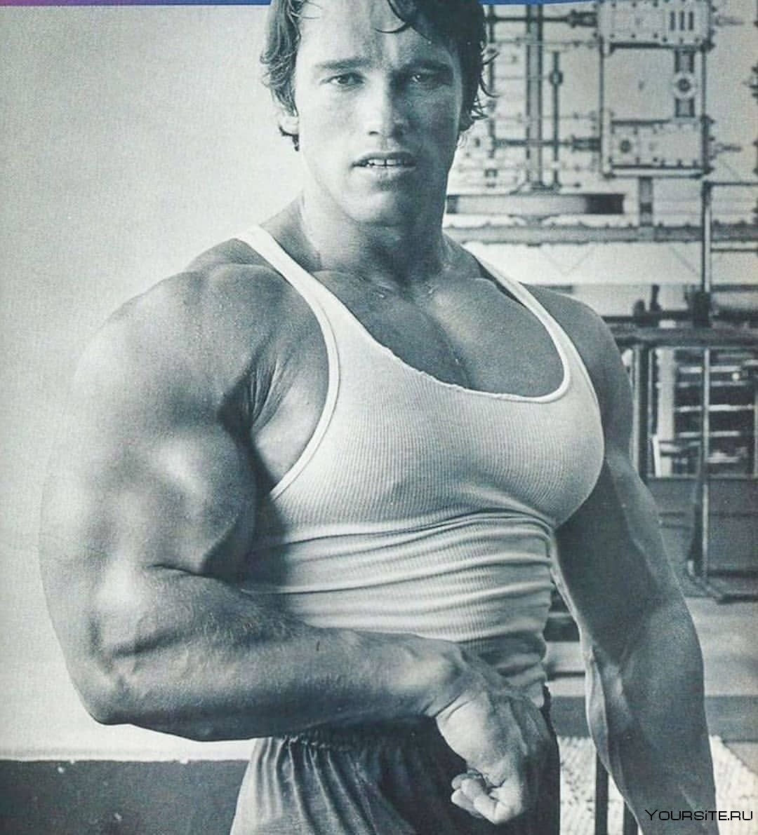 Шварценеггер бодибилдинг