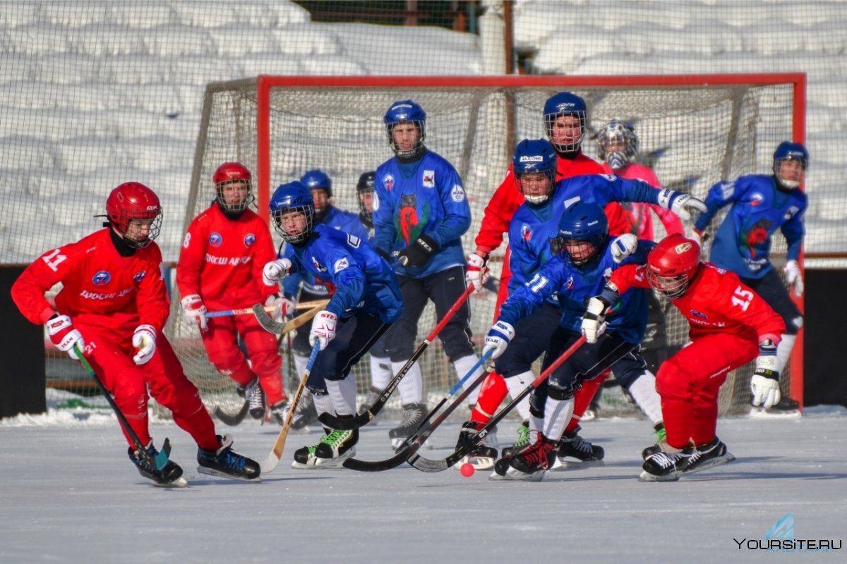 Сборная России по хоккею с мячом в Иркутске 2006