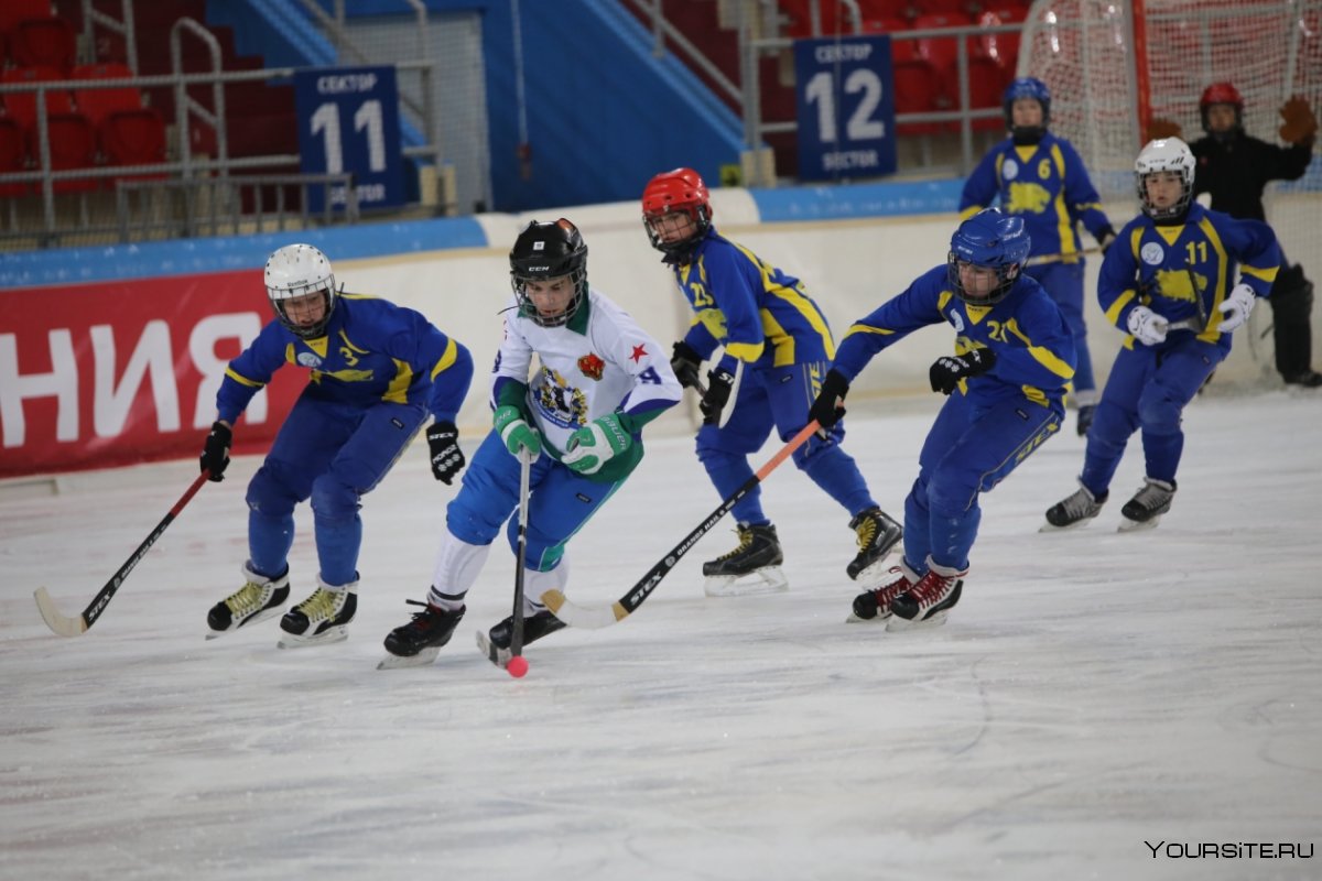 Федерация хоккея Ульяновска