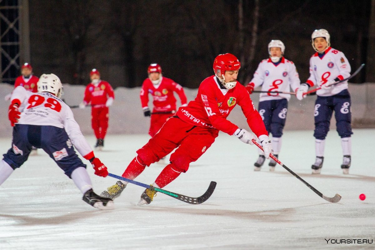 Хоккей с мячом в Красногорске