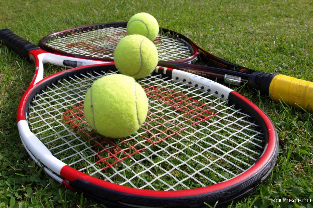 Теннисные ракетки на поле