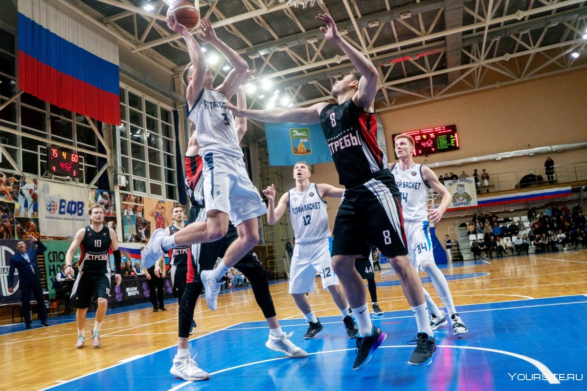 Вид спорта баскетбол