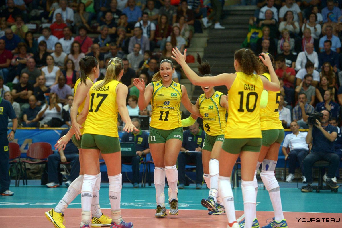 Сборная Бразилии по волейболу женская 2019