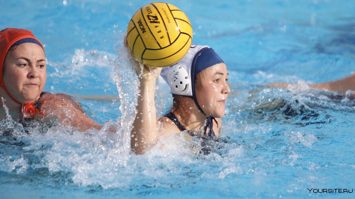 Water Polo Camel